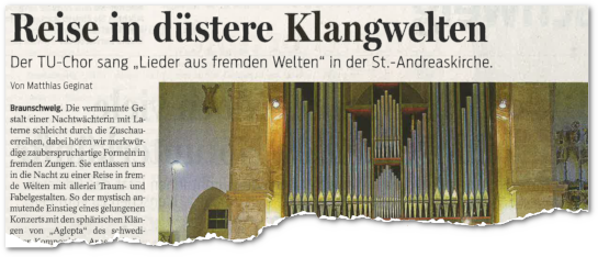 WS2018/2019, Artikel aus der Braunschweiger Zeitung vom 22.01.2019
